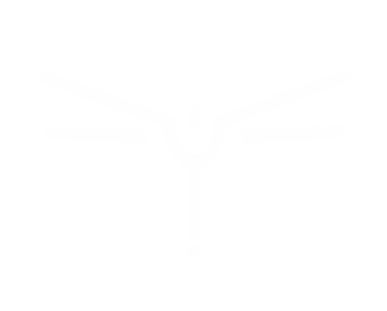 Vertitude 九十度航空